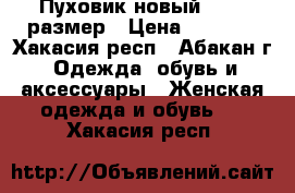 Пуховик новый 48-50 размер › Цена ­ 3 500 - Хакасия респ., Абакан г. Одежда, обувь и аксессуары » Женская одежда и обувь   . Хакасия респ.